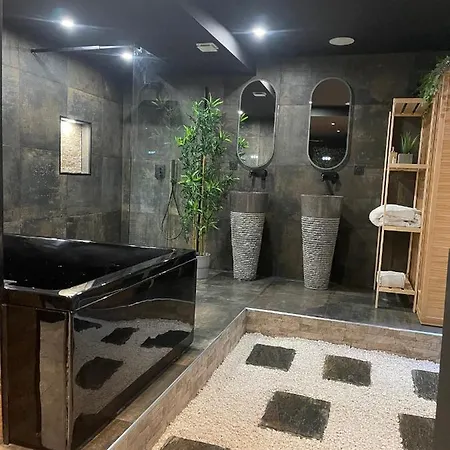 Apartment & Exotic - Balneo - Sauna - Parking Clermont-Ferrand